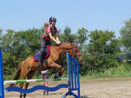 dsc05656_web